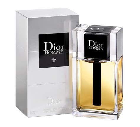 christian dior perfume hombre|christian dior homme parfum review.